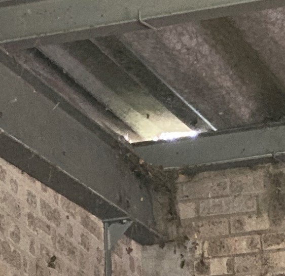 Close-up of a roof structure inside a building, showing metal beams and corrugated roofing sheets. There are visible gaps and damage at the junction between the beam and wall, with debris and staining present along the brickwork below
