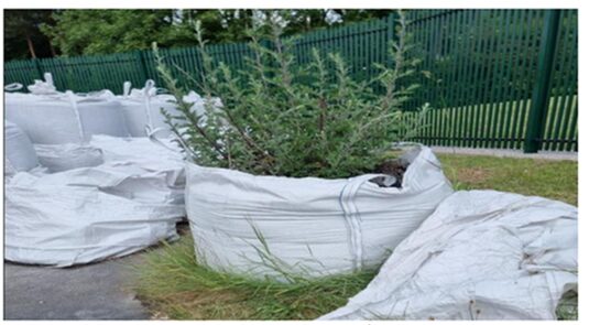 Large white bulk bags containing vegetation and weeds are stored outdoors on a paved area beside a green metal security fence. One bag in the centre is filled with cut plant material, with shrubs and grass protruding above the top edge. Additional partially filled bags are visible to the left and right. Grass and weeds are growing around the base of the bags, with trees visible in the background.
